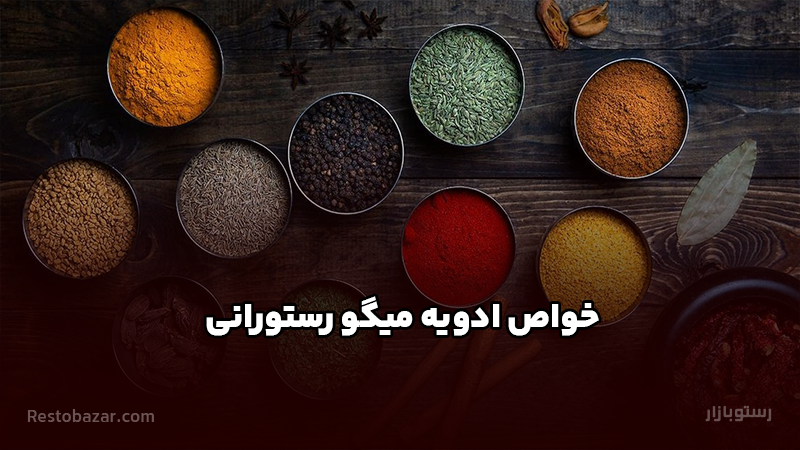 خواص ادویه میگو رستورانی