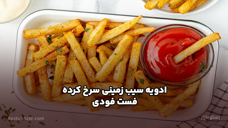 ادویه سیب زمینی سرخ کرده فست فودی