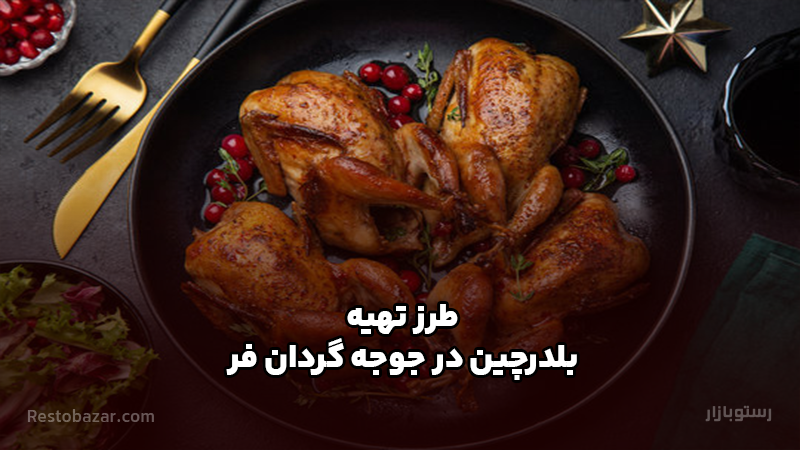 طرز تهیه بلدرچین بریان در جوجه گردان فر